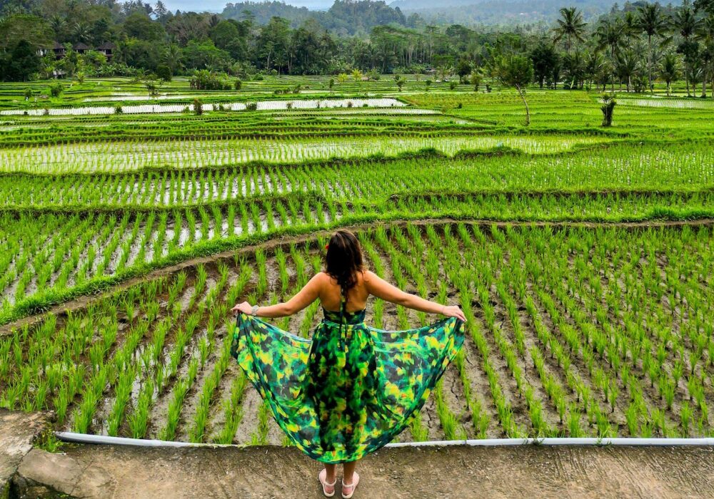 2-Week Bali Itinerary: How We Traveled Bali Using Points & Miles