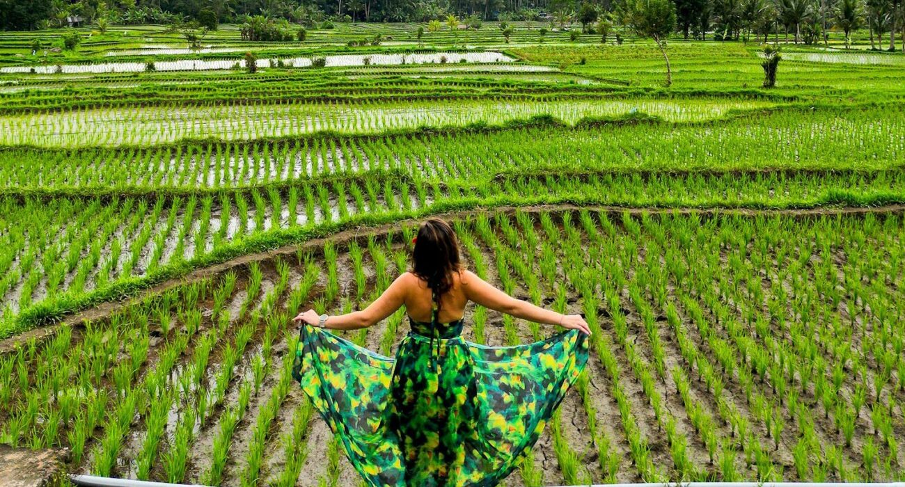 2-Week Bali Itinerary: How We Traveled Bali Using Points & Miles