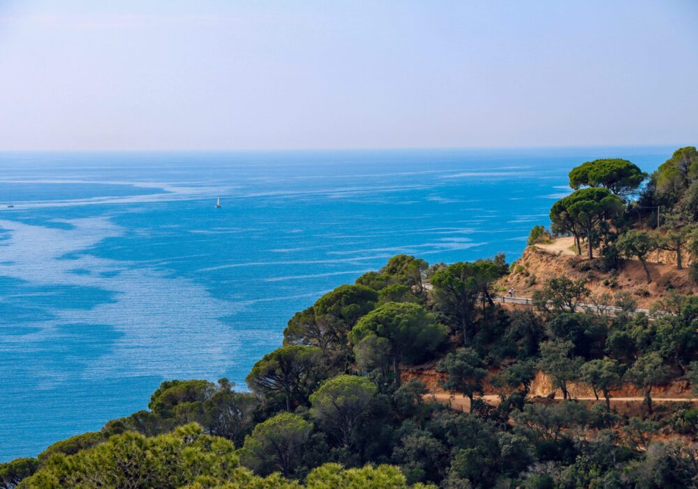 Best Places to Travel in 2026: Top 5 Emerging Destinations