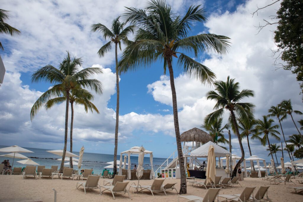 Palm-lined Minitas Beach at Casa de Campo with lounge chairs and calm Caribbean waters
