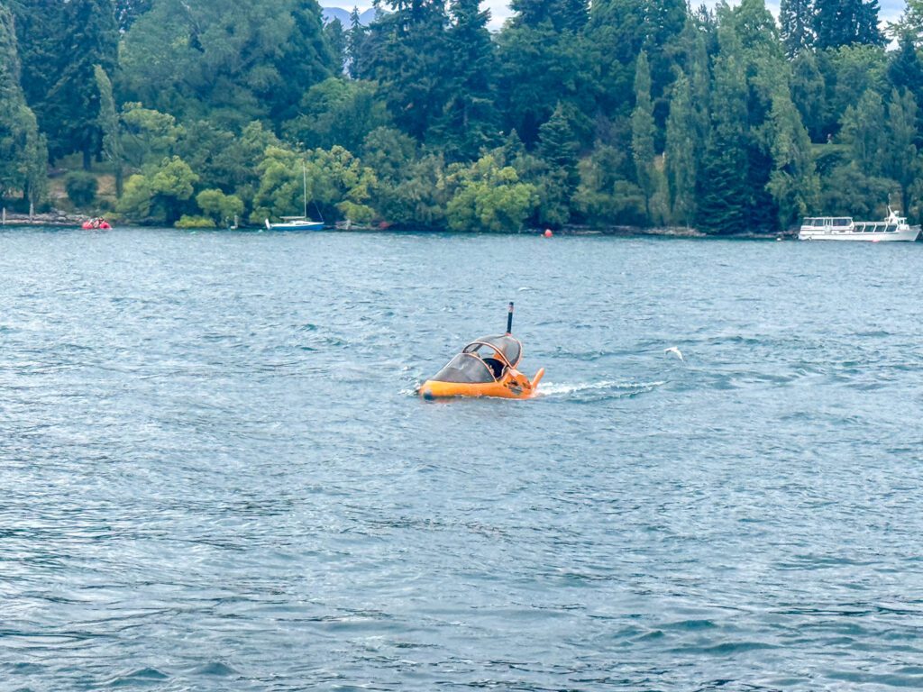 Hydro Attack jet boat cruising across Lake Wakatipu with forested shoreline in the background