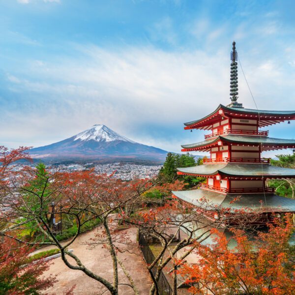 Japan Airlines Premium Economy to Japan from 40k Points (Cherry Blossom Deal)
